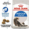 Royal Canin корм для взрослых длинношерстных кошек с 1 до 7 лет (indoor long hair 35)