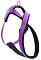 ZOOexpress Fresh Line шлейка для собак X-образная, сиреневая