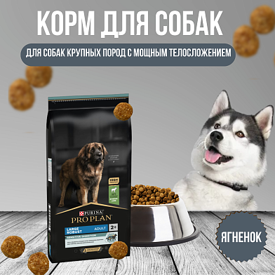 Pro Plan Robust сухой корм для взрослых собак крупных пород с мощным телосложением с чувствительным пищеварением с ягненком