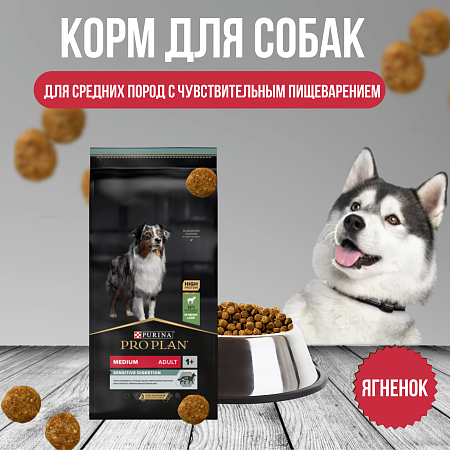 Купить pro plan сухой корм для взрослых собак средних пород с чувствительным пищеварением, с ягненком и рисом