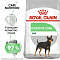 Royal Canin mini digestive care сухой корм для взрослых собак малых пород с чувствительным пищеварением