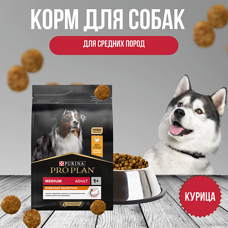 Купить pro plan сухой корм для взрослых собак средних пород, с курицей