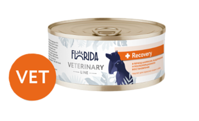 Florida vet Recovery, консервы для взрослых кошек и собак в период анорексии и послеоперационного восстановления
