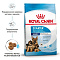 Royal Canin maxi starter сухой корм для щенков крупных пород
