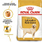 Royal Canin сухой корм для взрослого лабрадора ретривера с 15 мес.