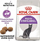 Royal Canin корм для взрослых кастрированных кошек и котов от 1 до 7 лет (sterilised 37)