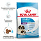 Royal Canin giant starter сухой корм для щенков гигантских пород