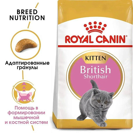 Купить royal canin корм для котят британских короткошерстных 4-12 мес. (kitten british shorthair)