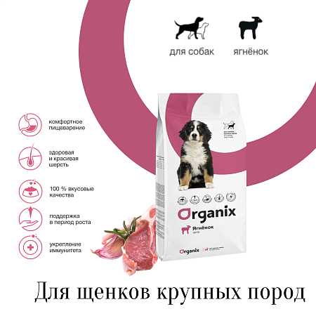Купить organix сухой корм для щенков крупных пород с ягненком