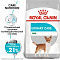 Royal Canin mini urinary care сухой корм для взрослых собак малых пород с чувствительной мочевыделительной системой