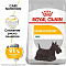 Royal Canin mini dermacomfort сухой корм для взрослых собак малых пород с раздраженной и зудящей кожей