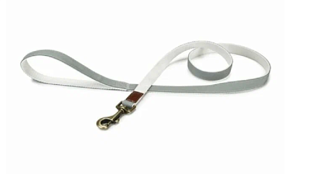 Купить beeztees Поводок для собак нейлоновый virante мятный