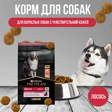 Pro Plan сухой корм для взрослых собак всех пород с чувствительной кожей, лосось и рис