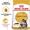 Royal Canin корм для взрослых кошек мейн-кун с 1 до 10 лет (maine coon 31)