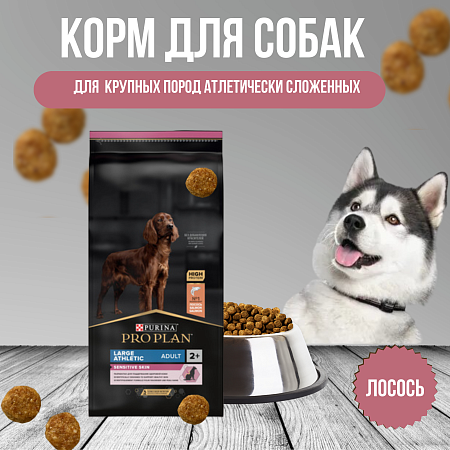 Купить pro plan athletic сухой корм для взрослых собак крупных пород атлетически сложенных с чувствительной кожей с лососем
