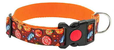 ZOOexpress КАРАМЕЛЬ ошейник c принтом для собак, оранжевый