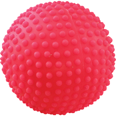 Зооник игрушка для собак "мяч игольчатый № 4"