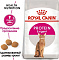 Royal Canin корм для взрослых кошек привередливых к составу, с 1 до12 лет (exigent 42 protein preference)