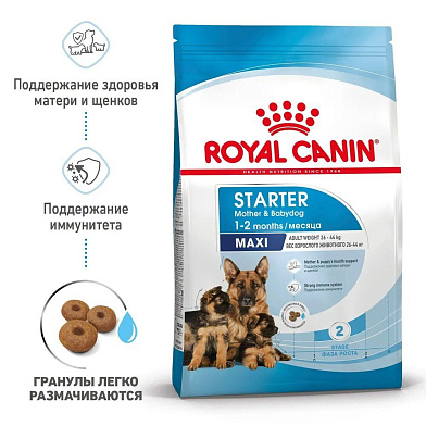 Royal Canin maxi starter сухой корм для щенков крупных пород