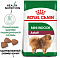Royal Canin Mini Indoor Adult сухой корм для взрослых собак мелких размеров