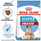 Royal Canin medium starter сухой корм для щенков средних пород