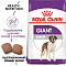Royal Canin giant adult сухой корм для взрослых собак гигантских пород