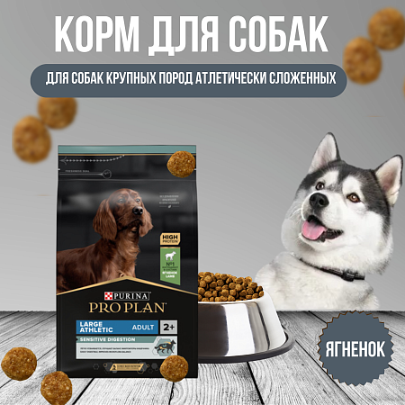 Купить pro plan athletic сухой корм для взрослых собак крупных пород атлетически сложенных с чувствительным пищеварением с ягненком